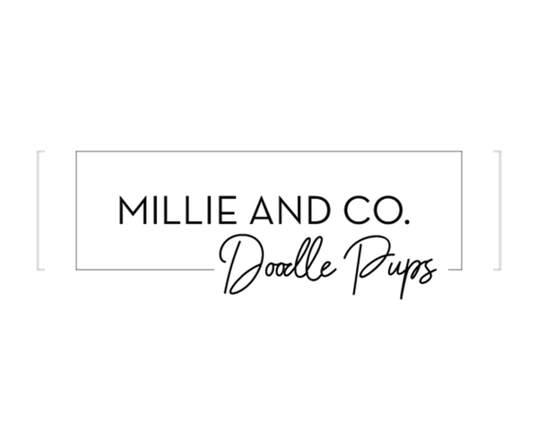 Medium Photo #1  Breeder Profile in WEST LAFAYETTE, IN, USA