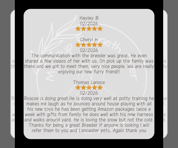 Medium Photo #4  Breeder Profile in GOSHEN, IN, USA