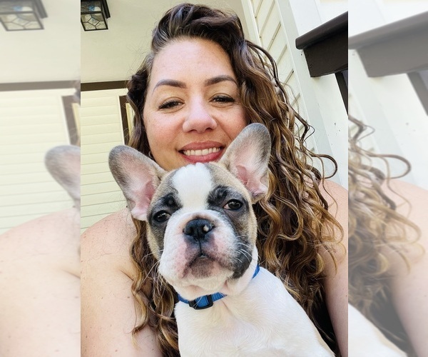 Medium Photo #1  Breeder Profile in ELKHORN, WI, USA