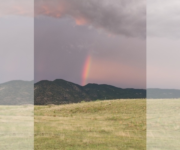 Medium Photo #4  Breeder Profile in CANON CITY, CO, USA