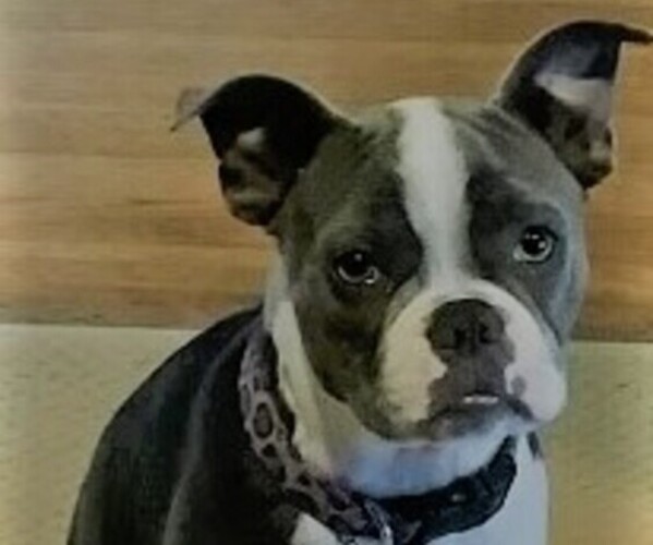 Medium Photo #1  Breeder Profile in SANTA CRUZ, CA, USA