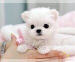 Small #11 Breeder Profile image