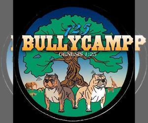 American Bully Dog Breeder in SPANISH LAKE,  USA