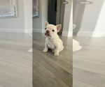 Small breeder photo