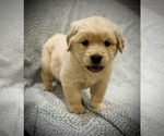 Small #2 Breeder Profile image