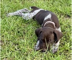 Small #21 Breeder Profile image