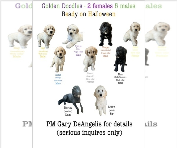 Medium Photo #1  Breeder Profile in OWENSVILLE, MO, USA