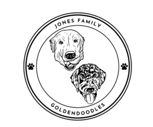 Goldendoodle Dog Breeder near SANFORD, NC, USA