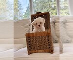 Small #4 Breeder Profile image