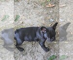 Small #14 Breeder Profile image