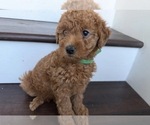 Small #2 Breeder Profile image
