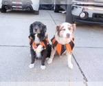 Small #21 Breeder Profile image