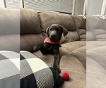 Small #12 Breeder Profile image