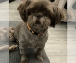 Small breeder photo