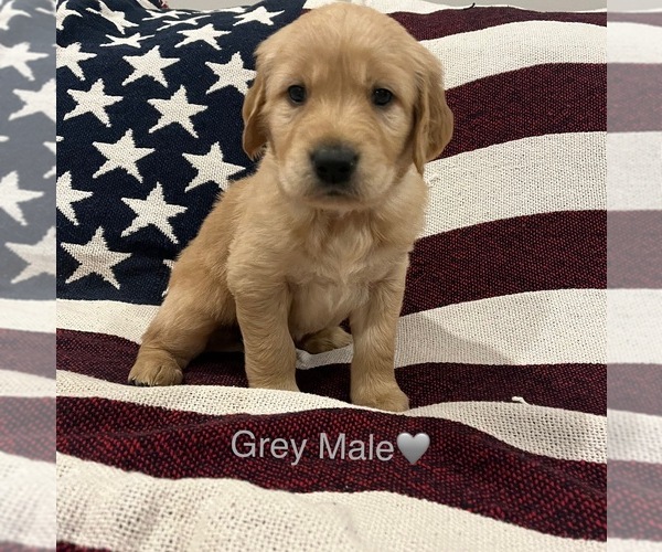 Medium Photo #45  Breeder Profile in SWEETWATER, TN, USA