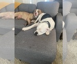Small #1 Breeder Profile image