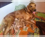 Small #6 Breeder Profile image
