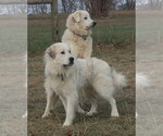 Small #5 Breeder Profile image
