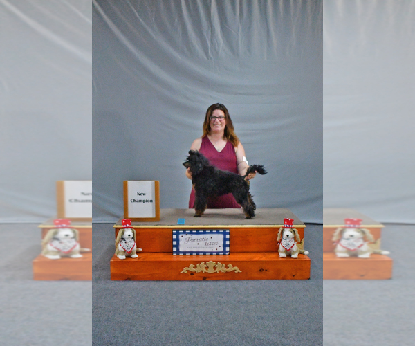 Medium Photo #5  Breeder Profile in BARBERTON, OH, USA
