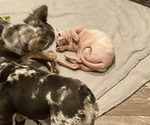 Small #3 Breeder Profile image