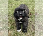 Small #57 Breeder Profile image