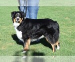 Small #6 Breeder Profile image