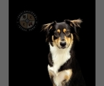 Small #5 Breeder Profile image