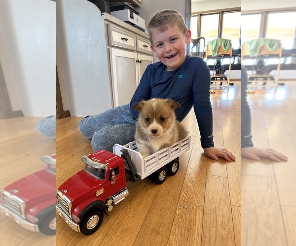 Medium Photo #3  Breeder Profile in ROCK VALLEY, IA, USA