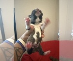 Small #38 Breeder Profile image
