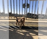 Small #3 Breeder Profile image