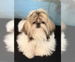 Small #2 Breeder Profile image