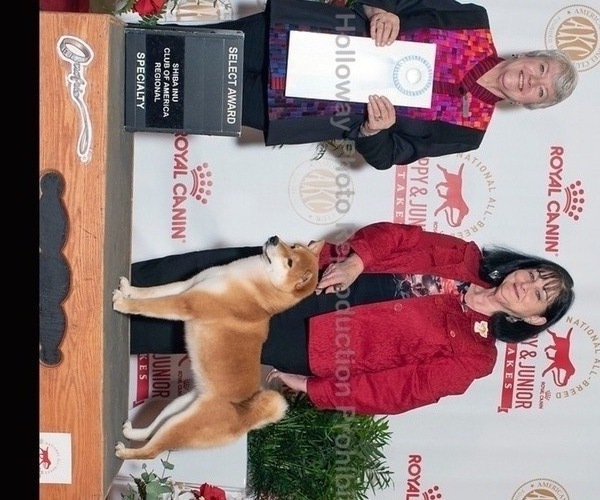 Medium Photo #17  Breeder Profile in THOMASTON, GA, USA