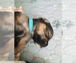 Small #31 Breeder Profile image