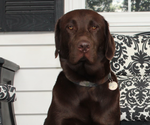Small #7 Breeder Profile image