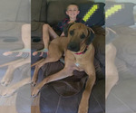 Small #2 Breeder Profile image