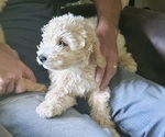 Small #6 Breeder Profile image