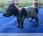 Small #2 Breeder Profile image