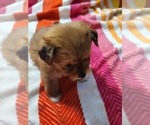 Small #5 Breeder Profile image