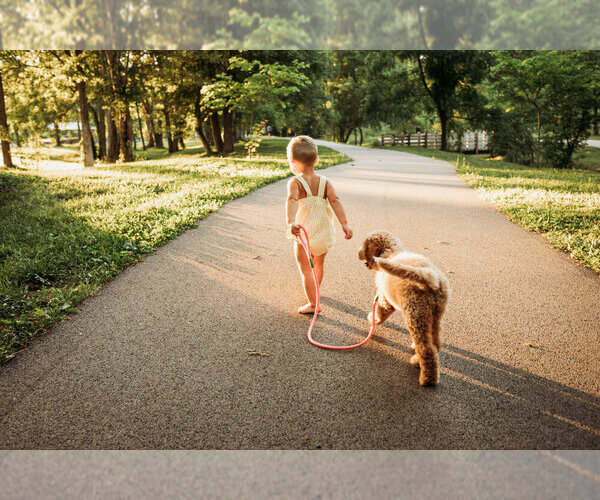 Medium Photo #1  Breeder Profile in WILLIAMSBURG, KY, USA