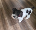 Small #13 Breeder Profile image