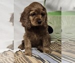 Small #14 Breeder Profile image