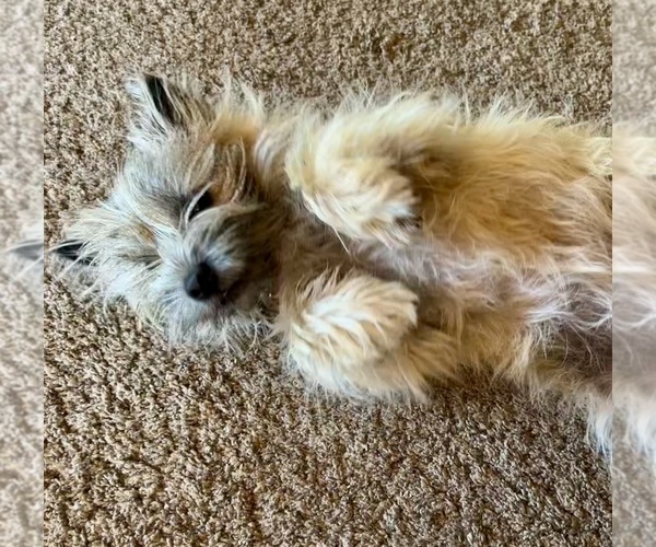 Medium Photo #26  Breeder Profile in FAIR OAKS, CA, USA