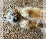 Small #25 Breeder Profile image