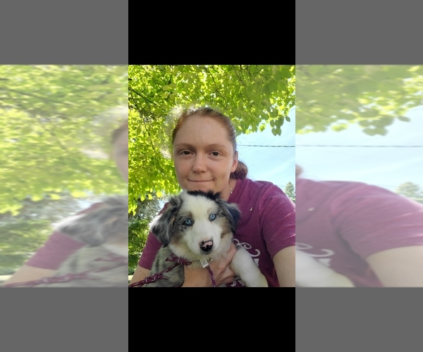 Medium Photo #1  Breeder Profile in MONMOUTH, OR, USA