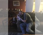 Small #15 Breeder Profile image