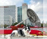 Small #46 Breeder Profile image