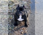 Small #15 Breeder Profile image
