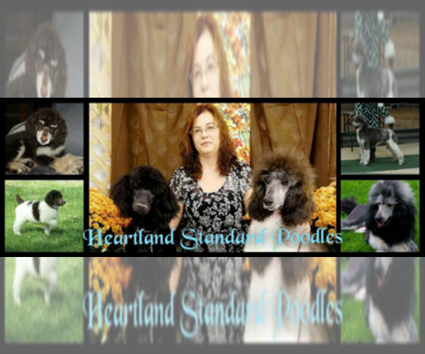 Medium Photo #1  Breeder Profile in HOISINGTON, KS, USA