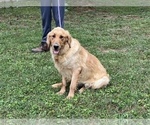 Small #46 Breeder Profile image