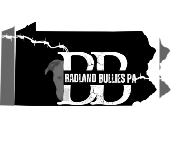 Medium Photo #1  Breeder Profile in PITTSBURGH, PA, USA